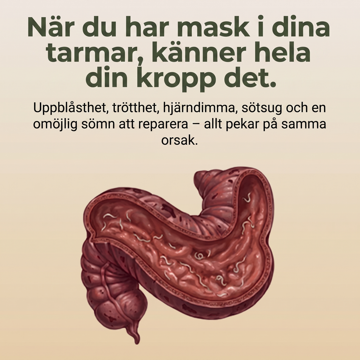 Loexir™ detox-paket med ricinolja